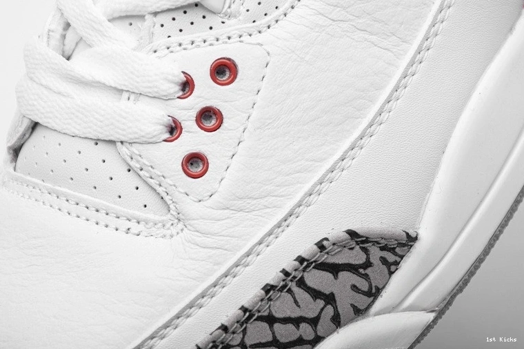 136064-116 3 Hall of  Fame Jordan Retro 0303